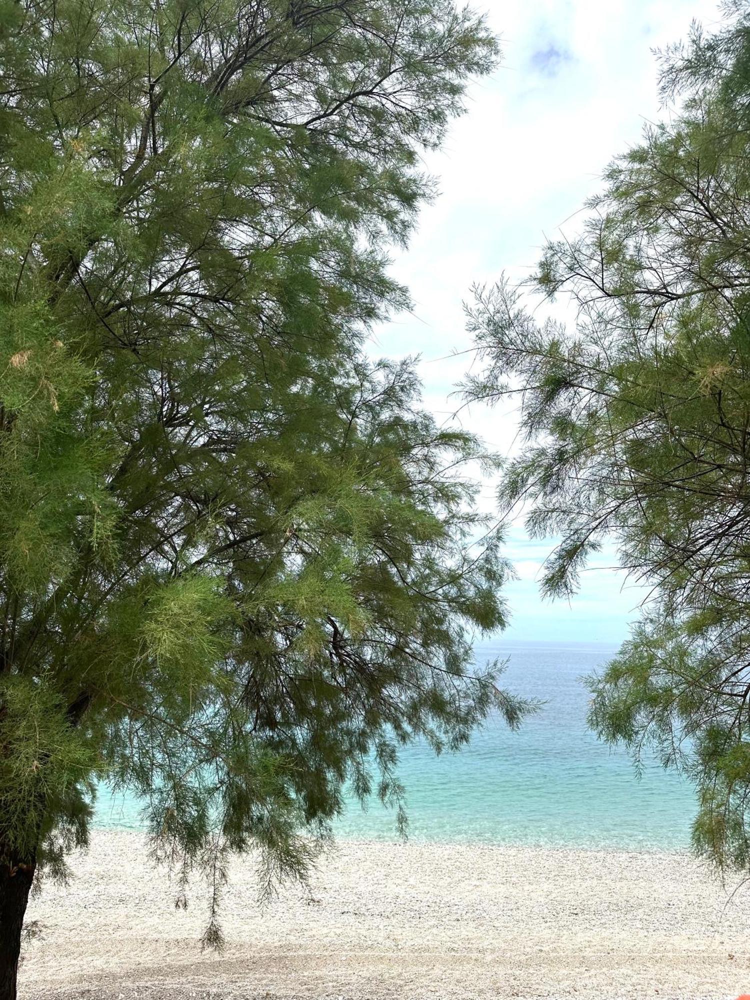 Potami Seashell Hotel Himare Exterior photo